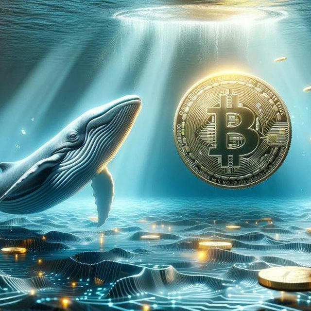 Crypto Whales 🐋💰