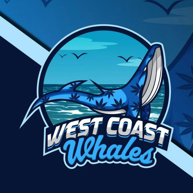 West Coast Whales 🐋