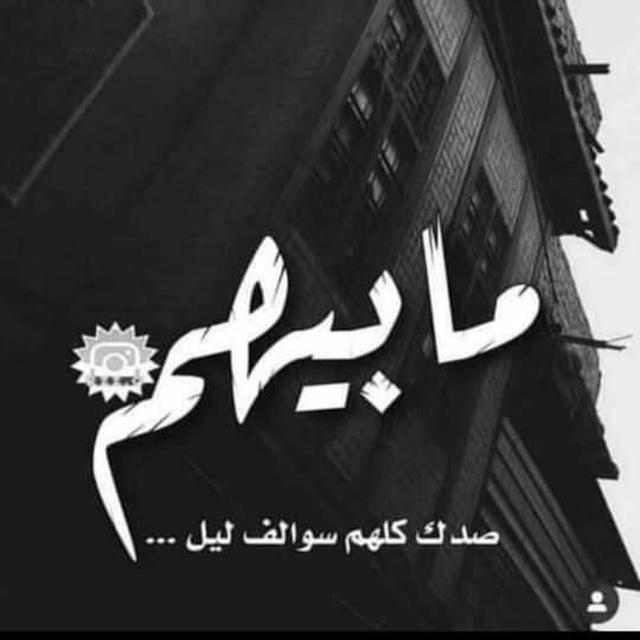 لا تثق ، كُلهم أذى . .🐾🖤