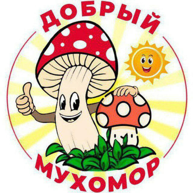 КУПИТЬ МУХОМОРЫ МИКРОДОЗИНГ