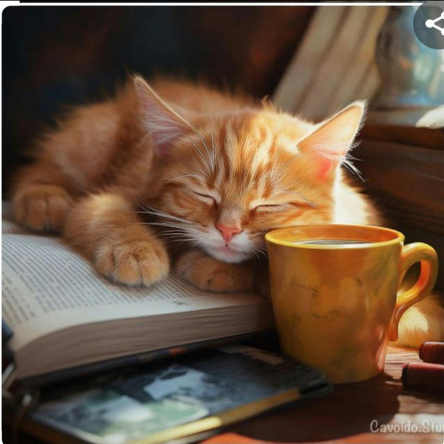 Счастливые люди пьют кофе и читают книги☕️📚