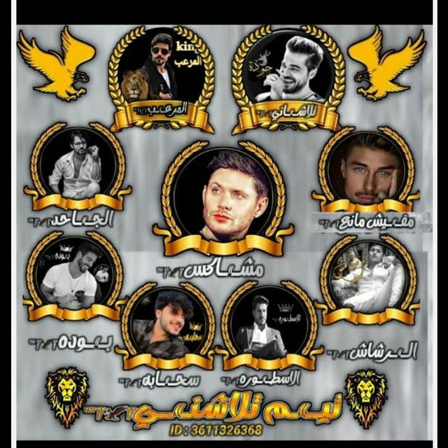 دمار يلا لودو🦅❌