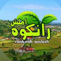 Rankooh_amlash