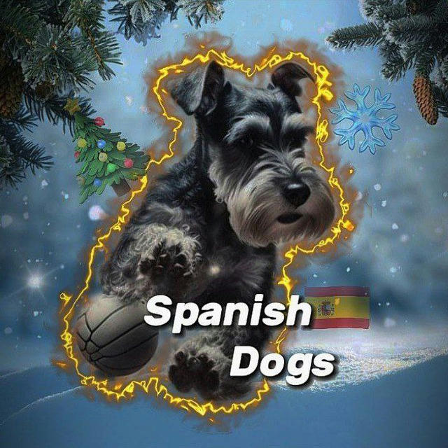 🇪🇸Spanish dogs🇪🇸