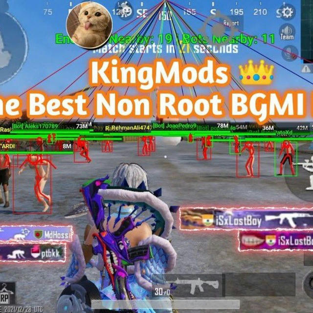 King Mods