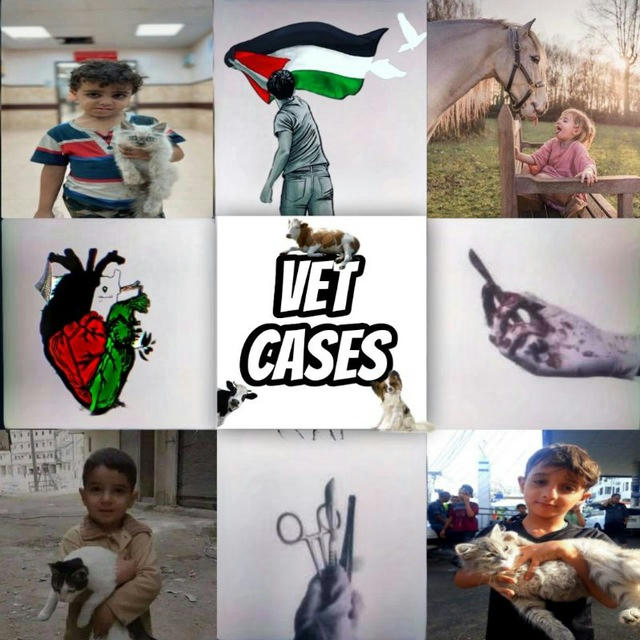 vet cases