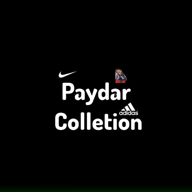 Paydarcollection.
