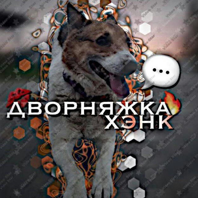 🐾 Дворняжка хэнк 🐾