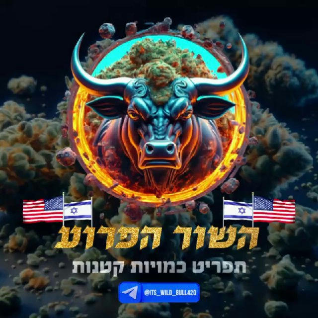 🇺🇸השור הפרוע•תפריט ראשי🇺🇸