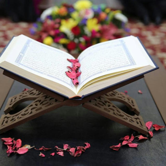 В Сердце моем Коран / СПУТНИЦЫ КОРАНА (Клуб для сестер )📖