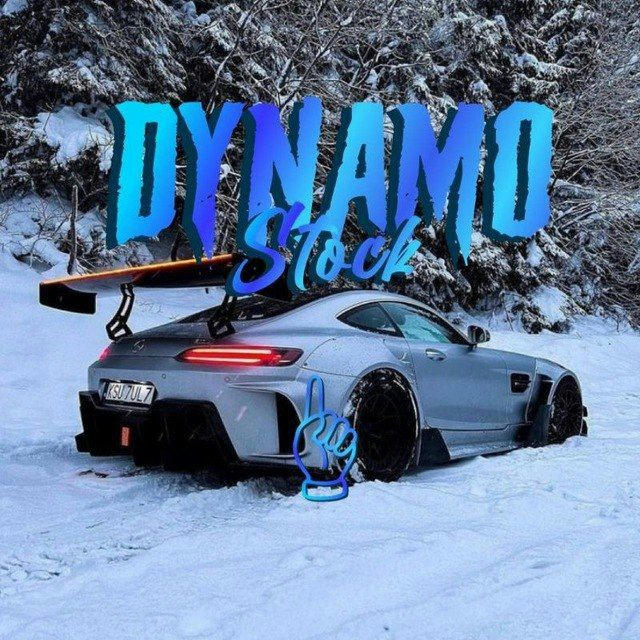 Dynamo stock