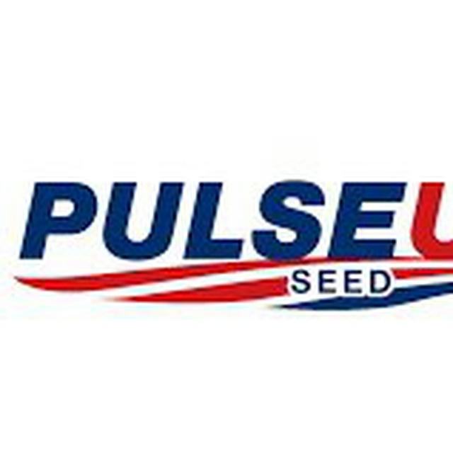 American Pulse Update