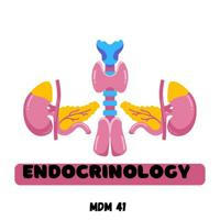 MDM41 | Endocrine