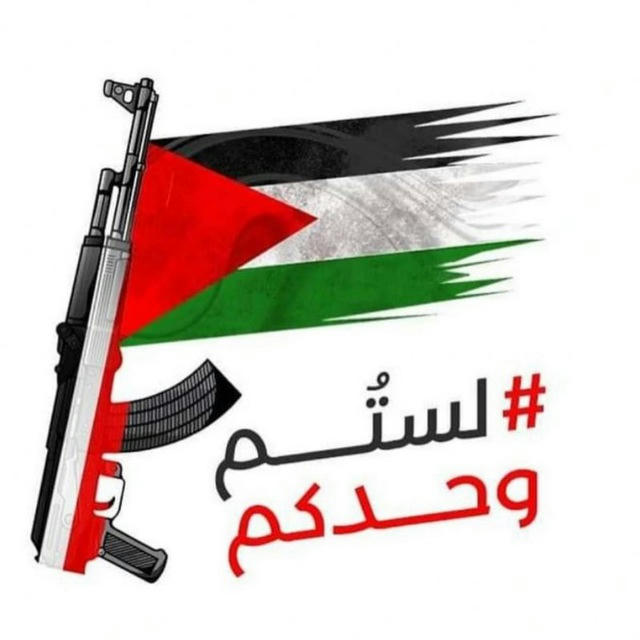 فلسطين بعيون يمنية