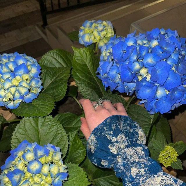 𝐦𝐟𝐬 𝐌𝐨𝐦𝐞𝐧𝐭💙