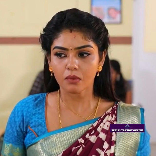 Vijay Serial Actress