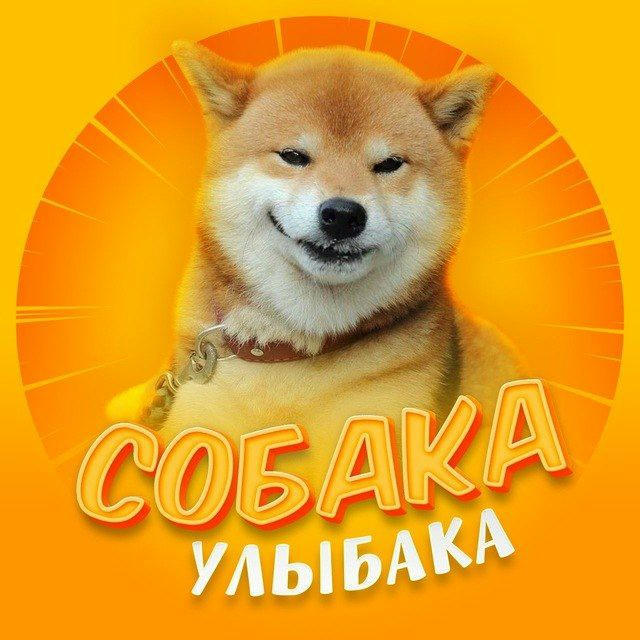 Собака - Улыбака