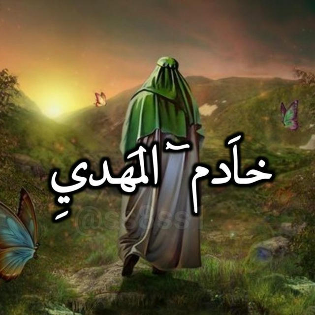 خاَٖدم ألمَهديِ -³¹³