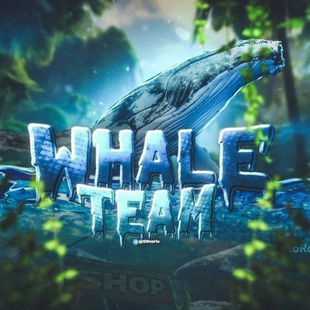 Whale Team Shop