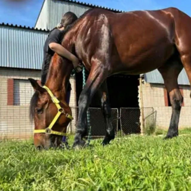 Лерик💋🐎