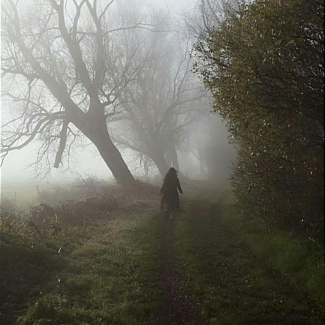 Хижина в туманном лесу