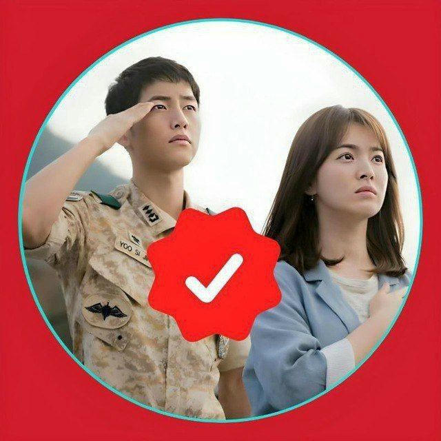 Descendants Of The Sun Hindi 🔥