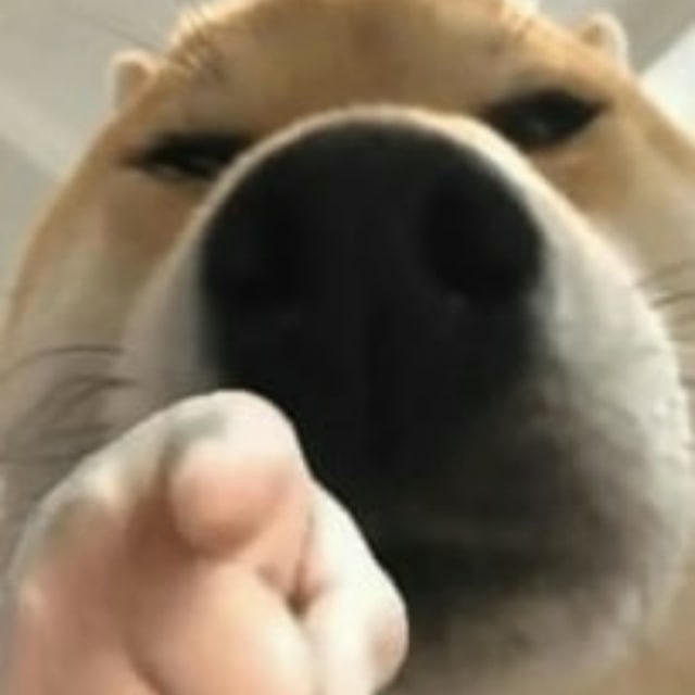 全能打枪话术（打粉 精聊）