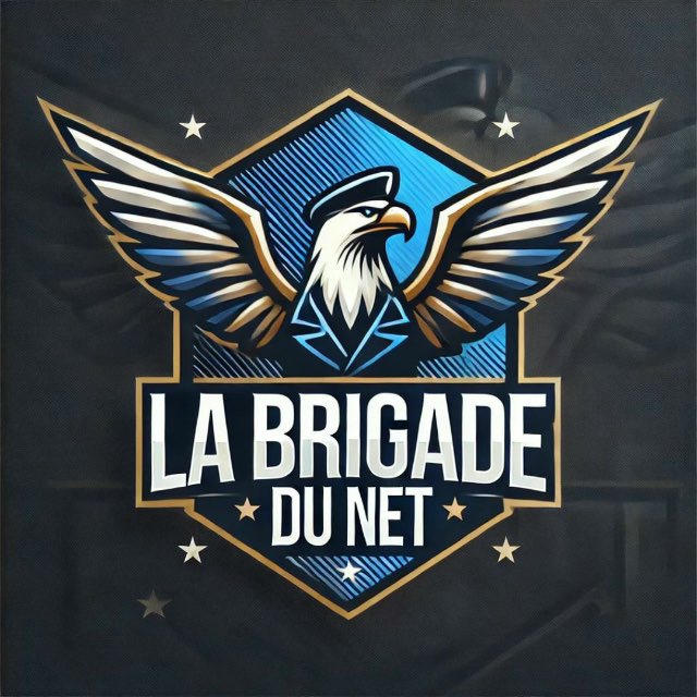 LA BRIGADE DU NET 📛🚨