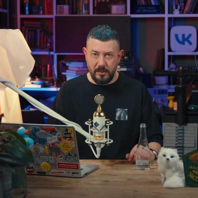 Мысли Лебедя