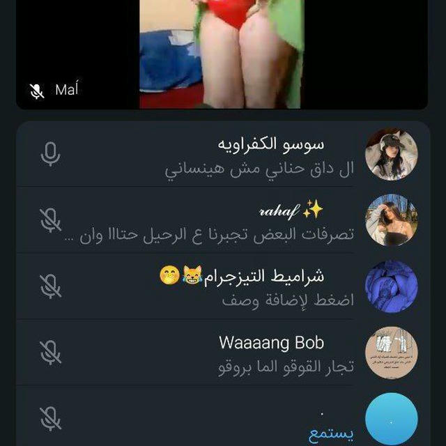 سكيس مصري جامد