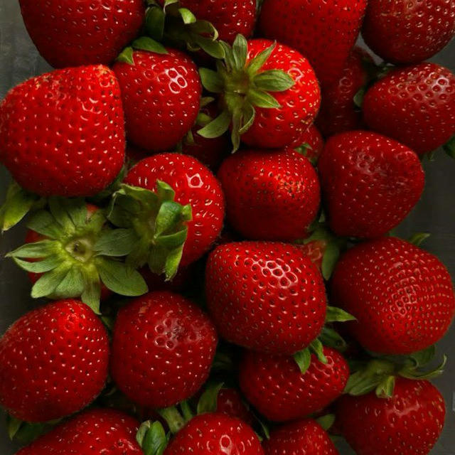 🍓𝙎𝙏𝙍𝘼𝙒𝘽𝙀𝙍𝙍𝙔🍓