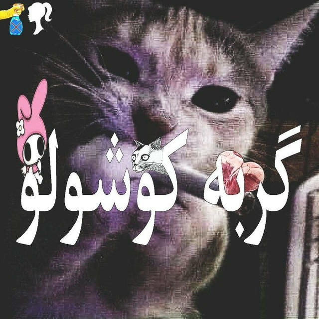 گربه کوشولو