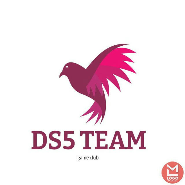 DS5 TEAM