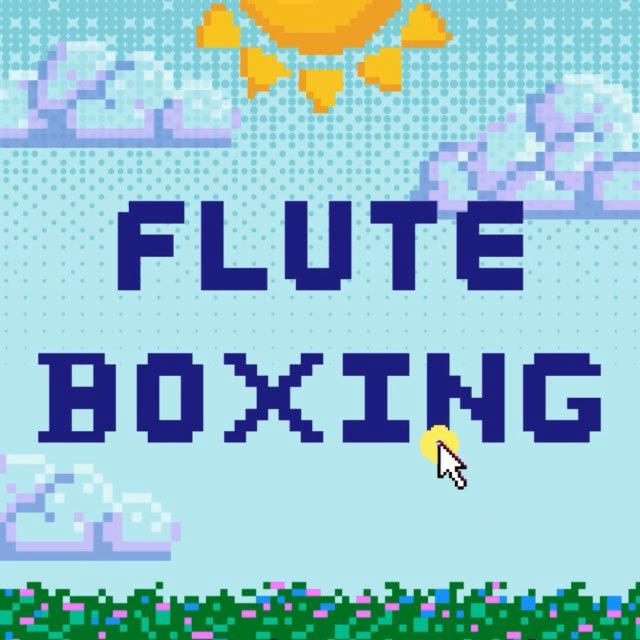 FLUTE BOXING