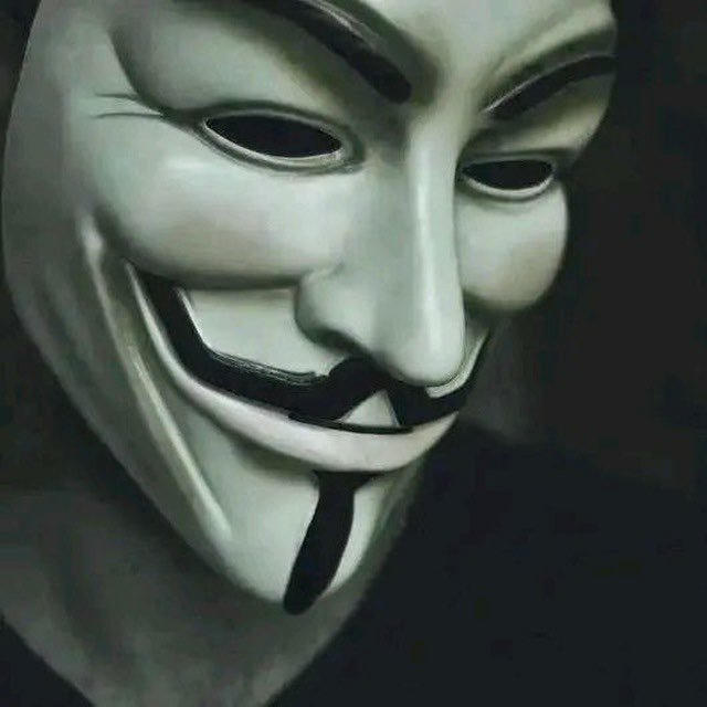 国际法律档案/投放/查询