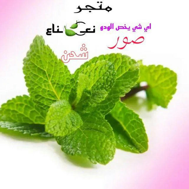 يلا لودو نعـ͜͡🍃ـناع