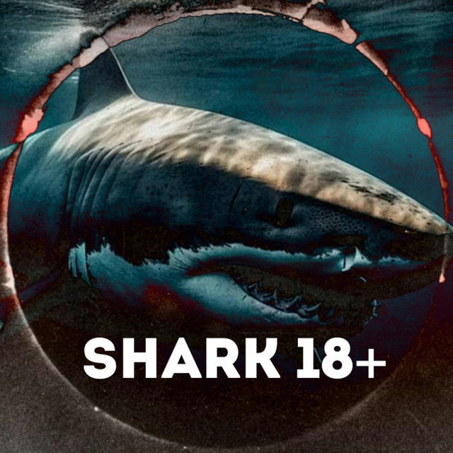 SHARK 18+