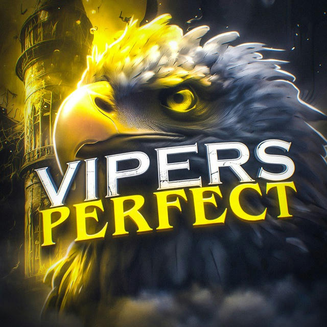 Vipers | Perfect🦅
