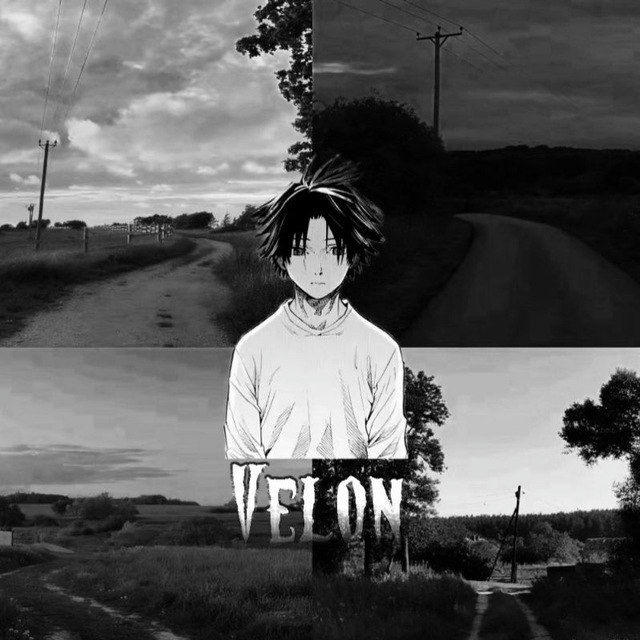 VELON SQUAD