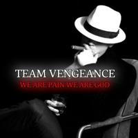 TEAM VENGEANCE