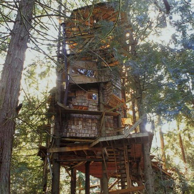 THE TREEHOUSE