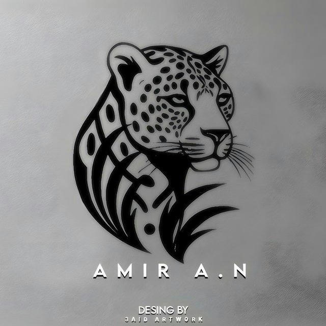 AMIR_A.N_REMIX