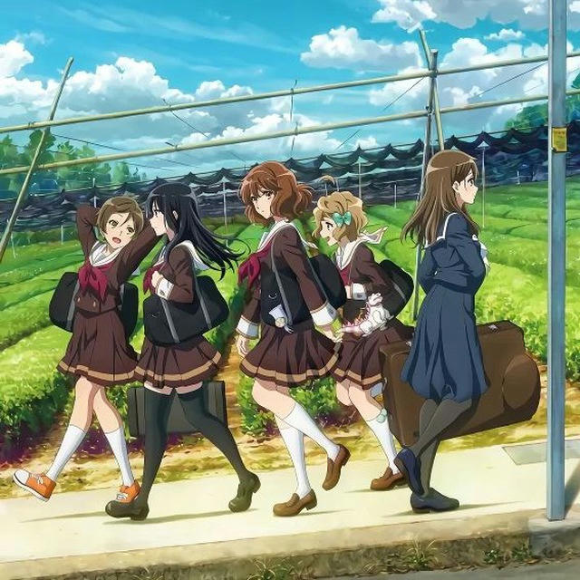 انمي Hibike! Euphonium 3 غن أيها البوق الموسم الثالث