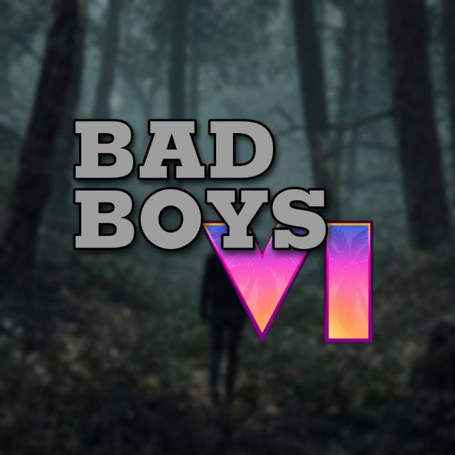 BAD BOYS_VI