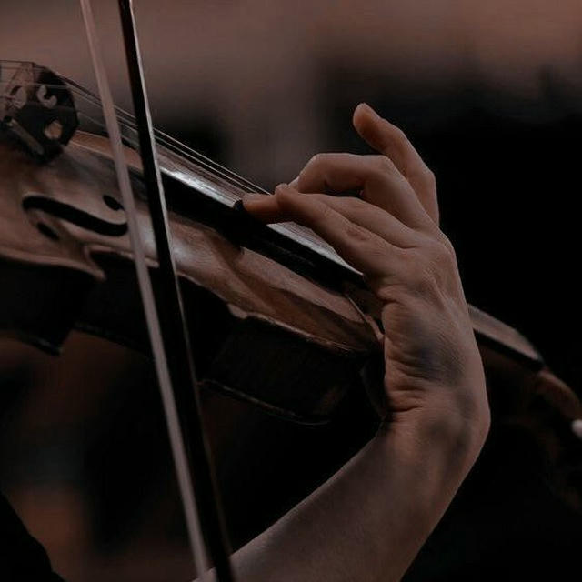 𝑷𝒆𝒂𝒄𝒆𝒇𝒖𝒍 𝒑𝒍𝒂𝒄𝒆🎻