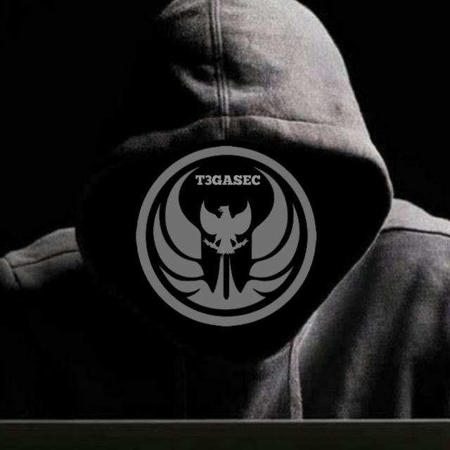 T3GASEC TEAM ID