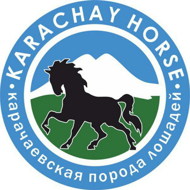 Karachay_horse