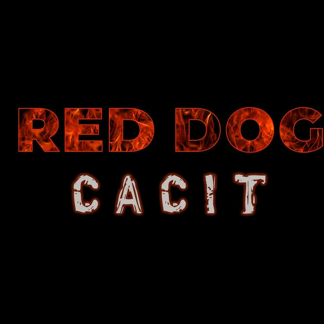 RED DOG CACIT 2024 Осень