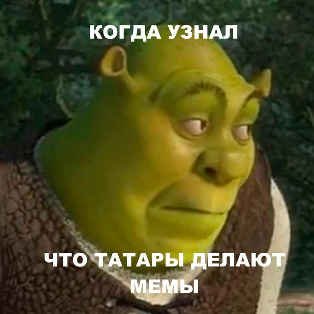 Татарча мем