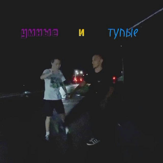 Умные и тупые